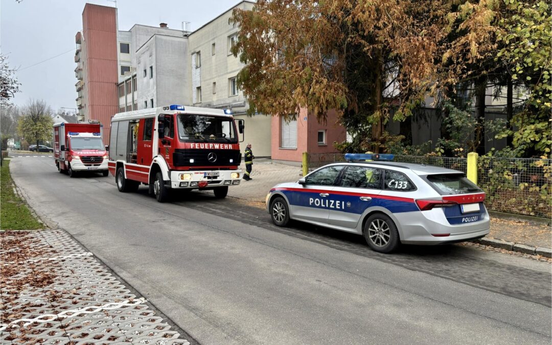 Menschenrettung nach Türöffnung